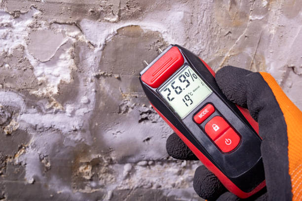 Best Attic Mold Removal  in Abernathy, TX