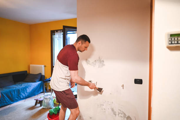 Best Mold Remediation  in Abernathy, TX